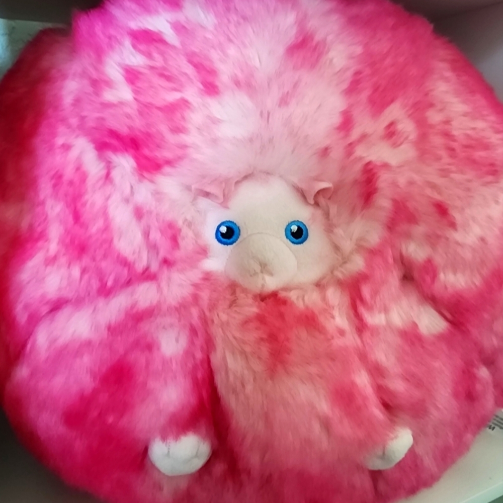 Large pygmy puff